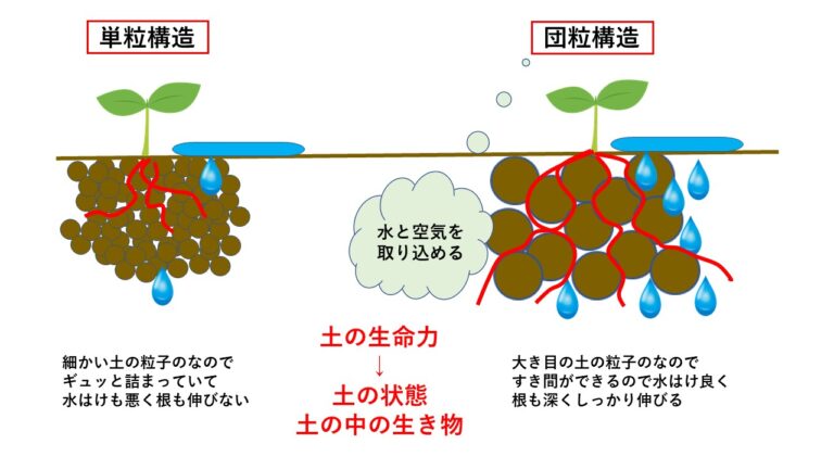 土壌組成, 土壌生成因子 7つ – QNPH