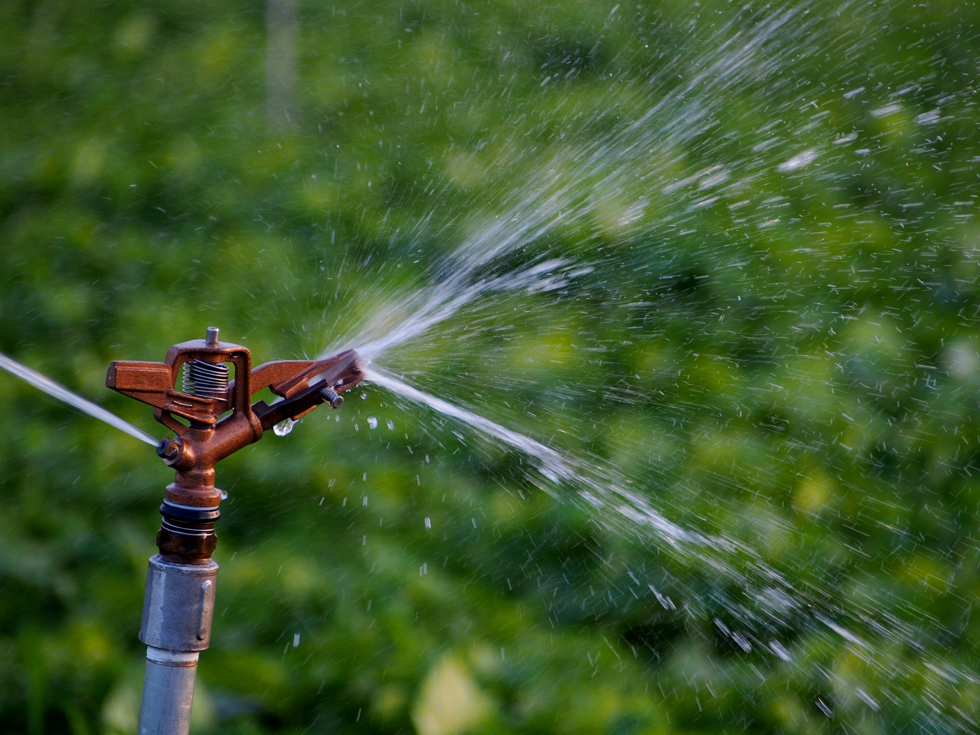 潅水(畑の水やり)について考えたこと キッチン男子 潅水(畑の水やり)について考えたこと キッチン男子