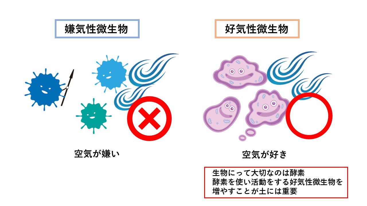 畑の土を団粒構造にして好気性微生物を増やす | キッチン男子